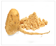 maca increases sexual stamina